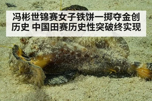 冯彬世锦赛女子铁饼一掷夺金创历史 中国田赛历史性突破终实现